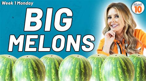 melonsclips|huge melons clips big